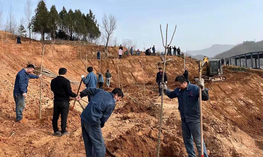 3月12日植树节,你植树了吗?