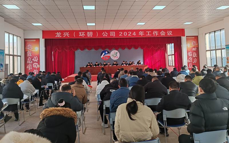 龙兴(环碧)公司召开2024年工作会议
